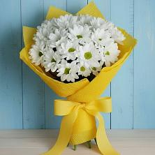 Букет цветов из:  Хризантемы в Ефимово