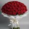 Букет 101 Красная роза Блэк Мэджик в Ефимово