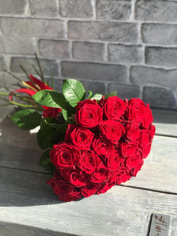 Букет Красные розы Фридом в Ефимово