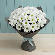 Букет цветов из:  Хризантемы в Ефимово