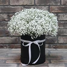 Цветочная композиция из Гипсофила в шляпной коробке в Ефимово