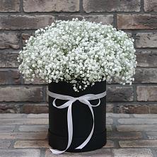 Цветочная композиция из Гипсофила в шляпной коробке в Ефимово