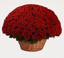 Премиум букет из: Розы в Ефимово