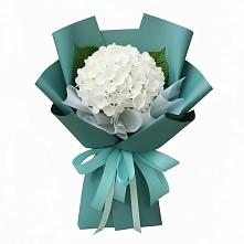 Букет цветов из:  Гортензия в Ефимово